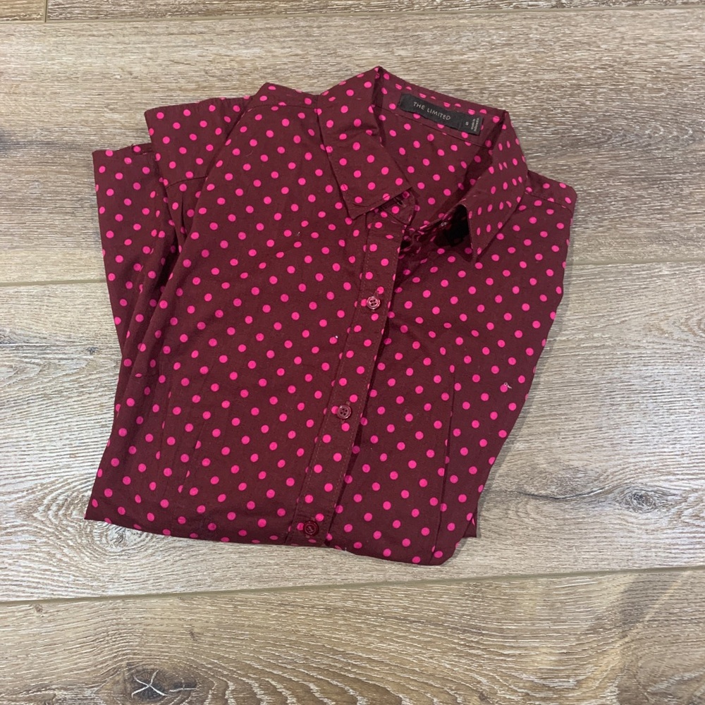 The Limited Polka Dot Blouse